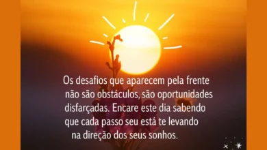 Frases de Bom Dia