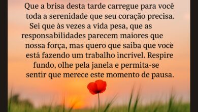 Mensagem de Boa Tarde