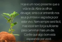 Mensagem Motivacional de Bom Dia