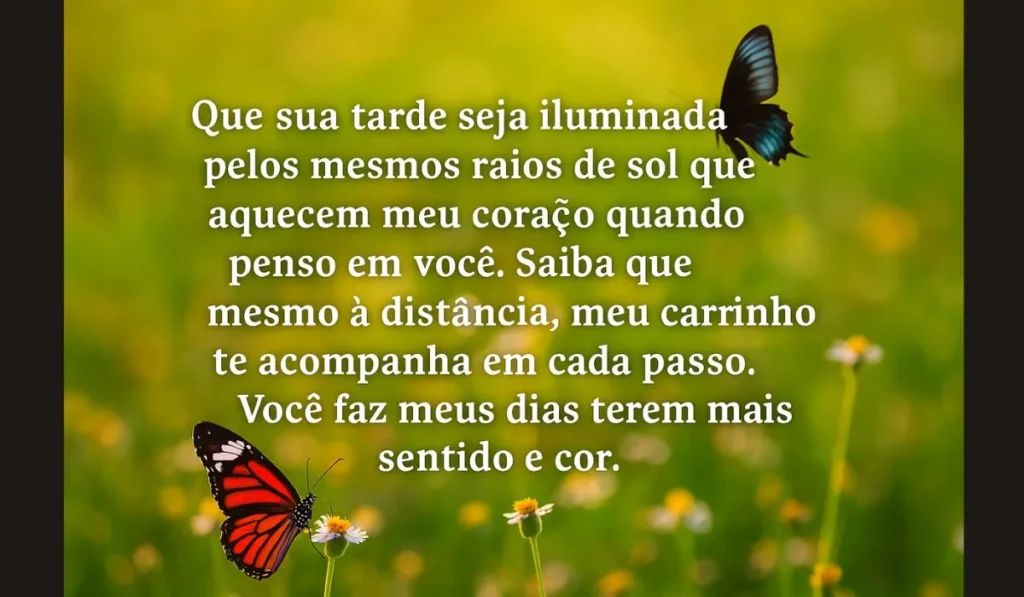 Mensagens de Boa Tarde com Carinho: Palavras que Aquecem o Coração de Quem Você Ama