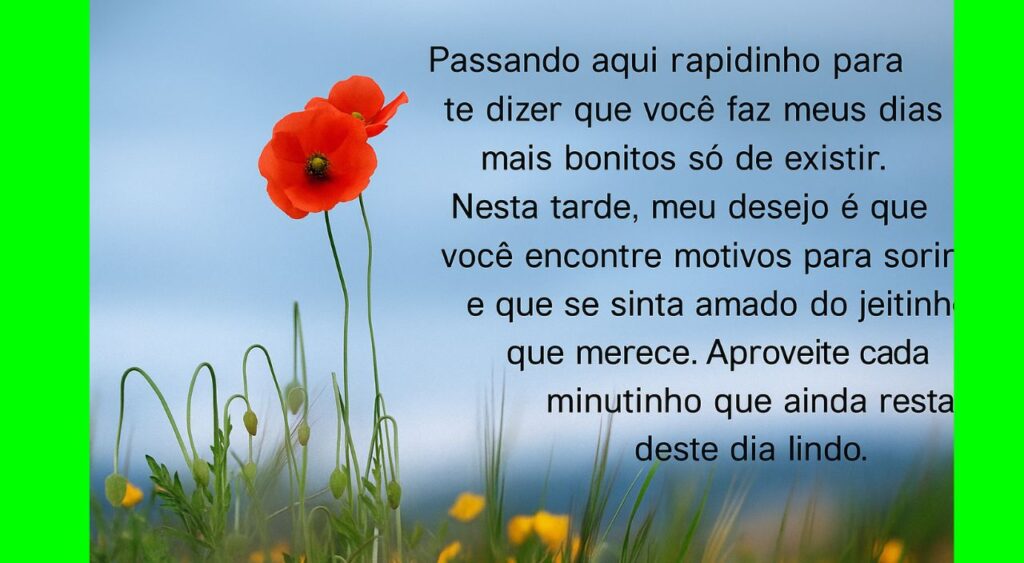 Mensagens de Boa Tarde para WhatsApp
