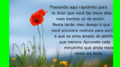 Mensagens de Boa Tarde para WhatsApp