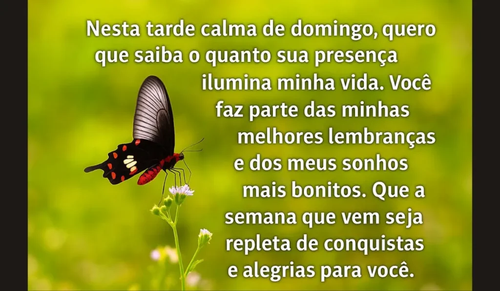 mensagens de boa tarde de domingo