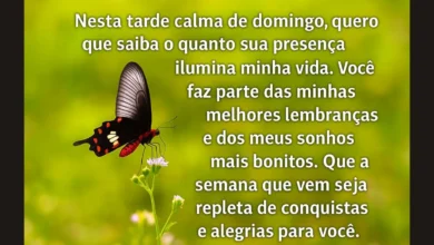 mensagens de boa tarde de domingo